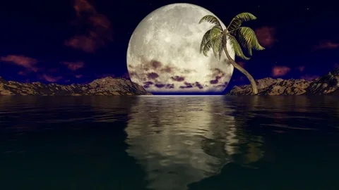 Big Moon and Coconut Tree on a calm night Stock Footage 72642024