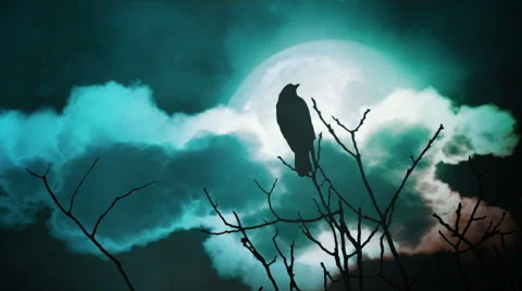 Big moon and crow Stock Footage 49397595