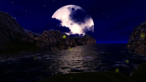 BIG MOON AND FIREFLIES OVER THE SEA Video stock 81393892