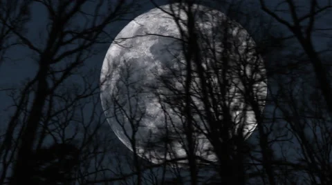 Big Moon Behind Fast Moving Trees Dramatic Cinematic Stock Footage 58781229