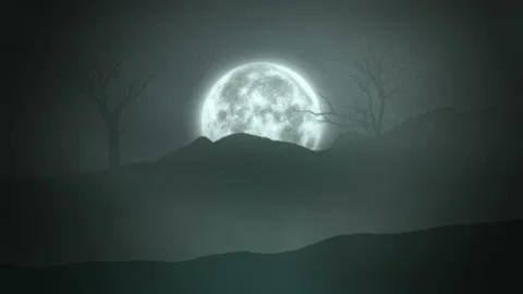 Big Moon with mystical forest in dark night Video stock 236178535