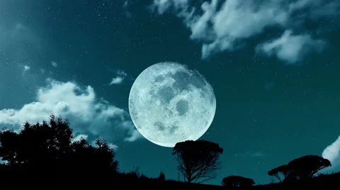 Big moon at night Stock-Footage 64771627