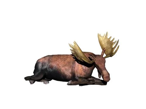 Big moose with mighty antlers Stock Illustration