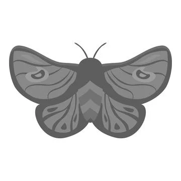 Big moth showing beautiful pattern on wings Illustrazione stock