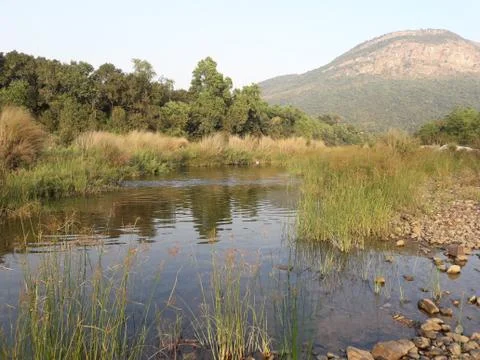 Big mountain and a river Stock Photos