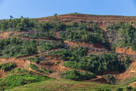 Big mountain area is cut of tree for grow oil palm plantations, Deforestation Stock Photos