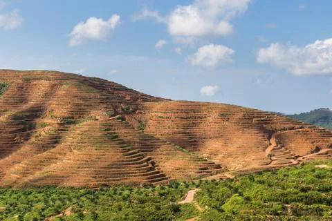 Big mountain area is cut of tree for grow oil palm plantations, Deforestation Stock Photos
