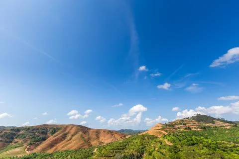 Big mountain area is cut of tree for grow oil palm plantations, Deforestation Stock Photos