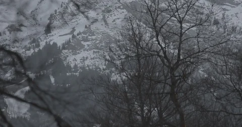 Big mountain behind some trees - vertical panning shot - 4K, AppleProRes 422 Stock Footage 92205389
