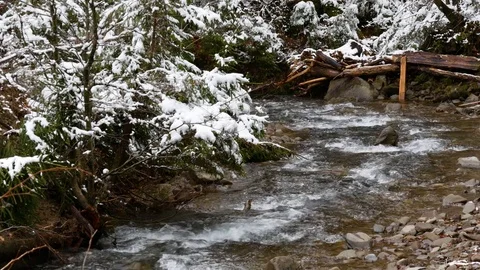 Big mountain river at spring. Clean and clear water. Stock Footage 75238249