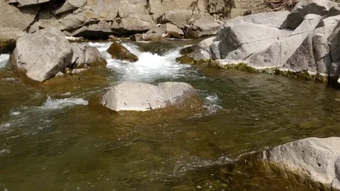 Big mountain river at spring. Clean and clear water. Stock Footage 76082066
