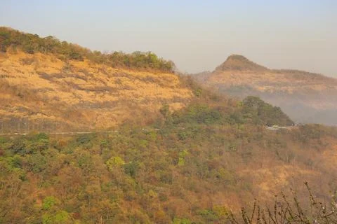 Big mountain with small tree in hot summer climate Stock Photos