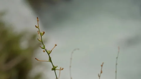 A Big Mountain Waterfall Stock Footage 89794104