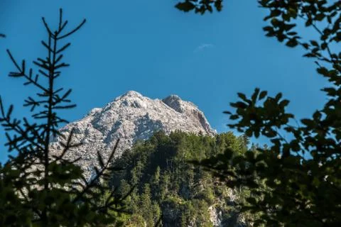 Big mountains, high trees, green fields and forests Stock Photos