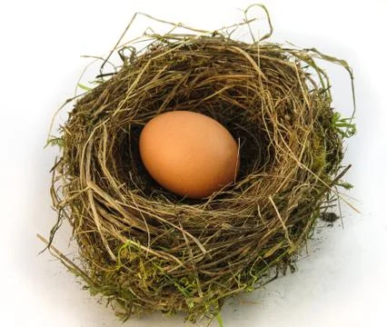 Big nest egg Stock Photos