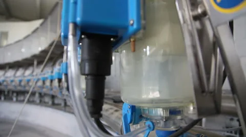 Big new machine for cows milking Vidéo 64058942