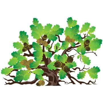 Big oak tree Stock Illustration