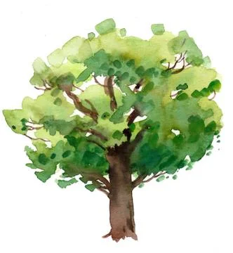 Big oak tree Stock Illustration