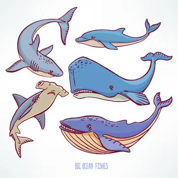 Big ocean creatures Stock Illustration
