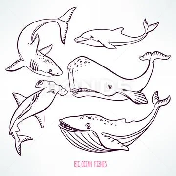 Big ocean creatures 스톡 일러스트