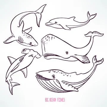 Big ocean creatures Stock-Illustration