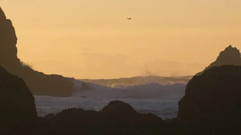 Big ocean waves crashing between cliff rocks at sunset bird flying Vidéo 122806421