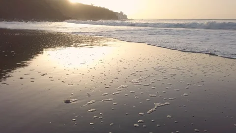 Big oceanic waves moving slowly on wide volcanic sand beach during sunset at Video stock 123047373