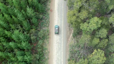 Big offroad car drives in between the forest looking down Stock Footage 150225826