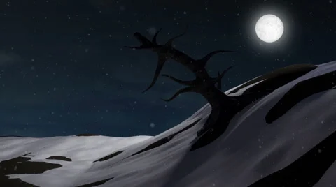 Big Old Dead Tree on Wintry Landscape at Night with Moonlight Stock Footage 42651533