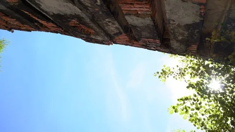 Big old tree at Ayutthaya ancient temple Thailand Stock Footage 91014456