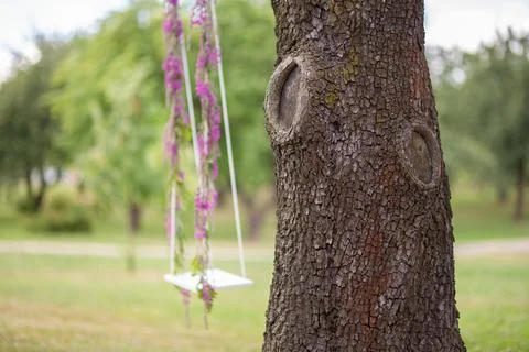 Big old tree with empty decorated flowers rope swing Stock Photos