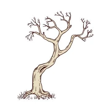 Big old tree in hand drawn engraving style, flat vector illustration isolated. Stock Illustration