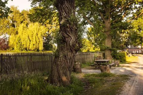 A big old tree, a picknick table and a wooden fence in Eersel, greenery Fotos de archivo