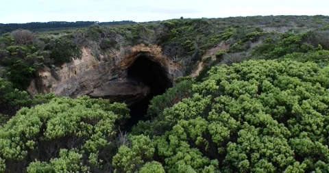Big Open Cave In Lush Green Forest, Wide Shot Clip0796 Stock Footage 228897878
