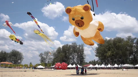 Big orange bear inflatable kite flying in the sky, Many kites on the beach Stock Footage 162971074