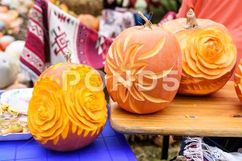 Big orange flower carved pumpkins, close up Stock Photos