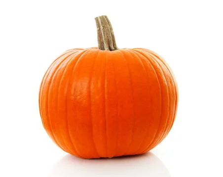 Big orange pumpkin Stock Photos