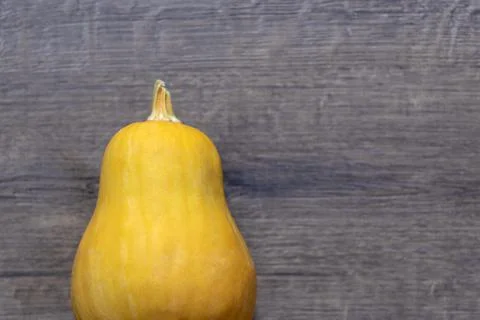 Big orange pumpkin. Stock Photos
