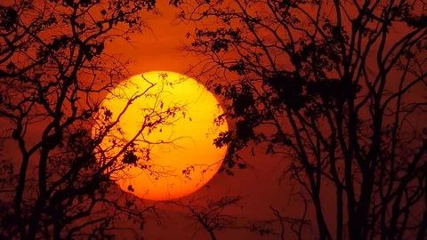 The big orange sunset, nature backgrounds. Stock Footage 124440801