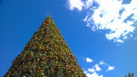 Big Outside Christmas Tree Towering into a Blue Sky Video stock 85520289