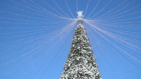 Big Outside Decorated Christmas Tree Towering into a Blue Sky on a Sunny Day Stock Footage 101586638