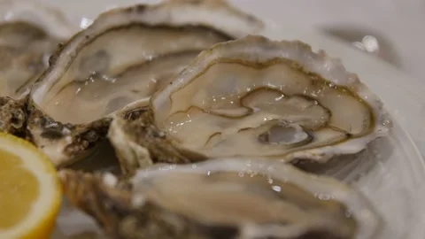 Big oyster dish. Super close-up of fresh oysters on a white plate. Serving Stock-Footage 145778123
