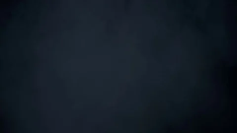 Big Pack of Wolves Running Through an Epic Snow Storm Stock Footage 83857298
