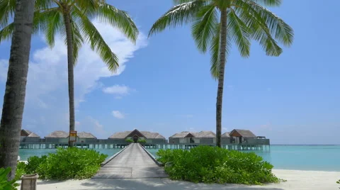 Big palm trees in front of luxurious ocean villas in Maldives Stock Footage 48253982