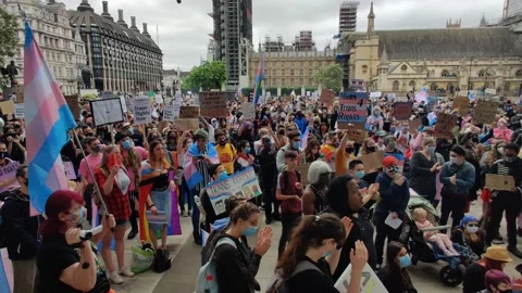 BIG PAN OF CROWD DURING SPEECH AT TRANS RIGHTS PROTEST LONDON, 4K Stock Footage 134351940