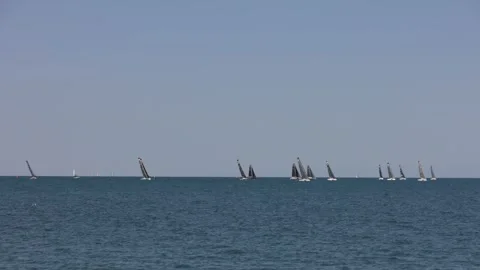 Big panorama of sailing regatta Stock Footage 259206027