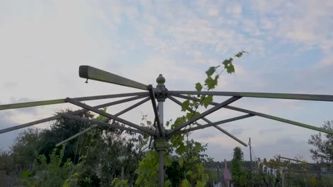 Big Parasol Bone in a Park Stock Footage 140368599
