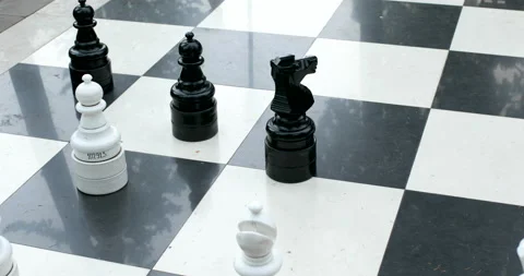 Big park chess with white and black check mate figures Stock Footage 110843385