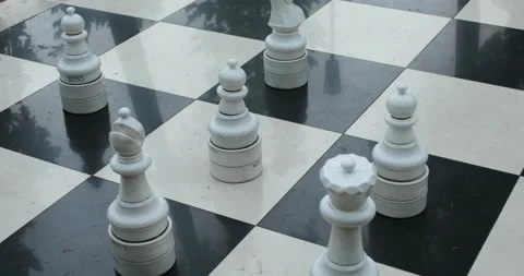 Big park chess with white and black check mate figures Stock Footage 110843472