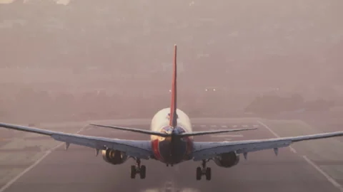 Big passenger airplane landing at airport 스톡 동영상 167717841
